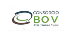 Logotipo de BOV